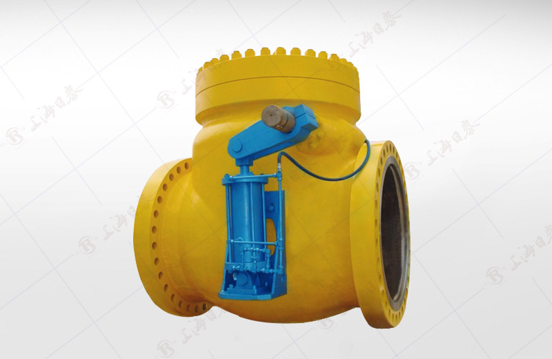 Swing Check Valve